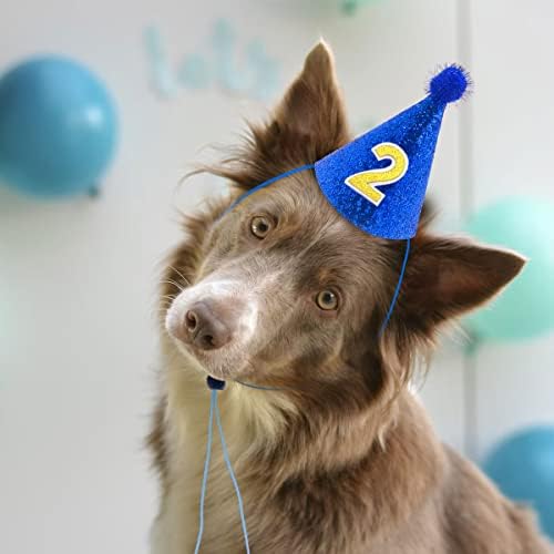 Pet SHOW 5kom set rođendanskih šešira za pse za srednje velike pse Dječaci Djevojčice Konusni šeširi za zabave