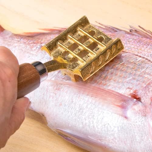 Ranshou sredstvo za uklanjanje Skalera za ribu bez nereda, dvostruka krilna oštrica za teške uslove rada, japanski