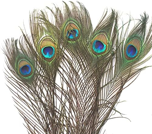 100pcs prirodni paun perje u rinfuzi 10-12 inch, Bulk za Vase Craft Vase vjenčanje Home Party Božić ukras paun perje