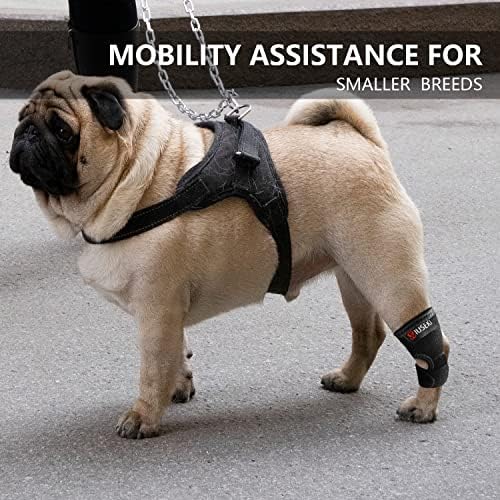 WIUSEKI proteza za pseće noge pas Pas stražnji Hock Steznik za zglobove, Lightduty Hock aparatić za