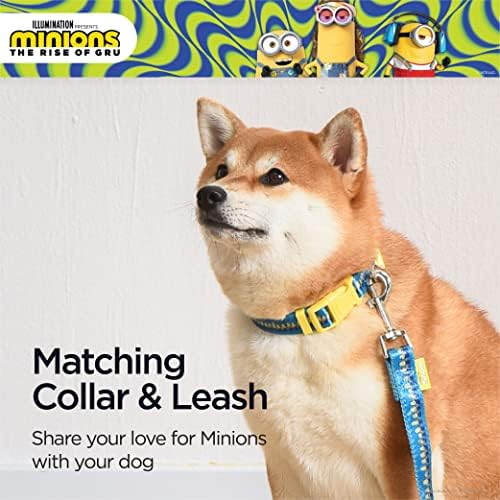 Minions ovratnik za pse, srednji, plavi i žuti milioni u nizu | Pokloni za minions Ventilacije i njihove kućne ljubimce | Zvanično licencirani kućni ljubimac iz univerzalnih studija