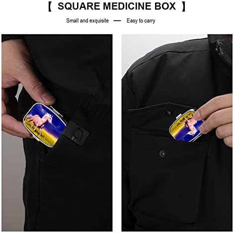 Kutija za pilule konj pejzaž kvadratnog oblika futrola za tablete za lijekove prenosiva kutija za