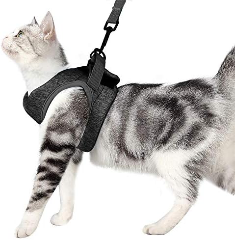 Mačji pojas & amp; povodac sa Ultra laganim ovratnikom za mačiće mačka Sako za hodanje za štence zečeve