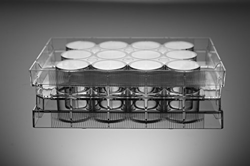 Nest Scientific 712001 polistirenska ploča za kulturu ćelija sa 12 Jažica, ravno dno, tretirana kultura tkiva,
