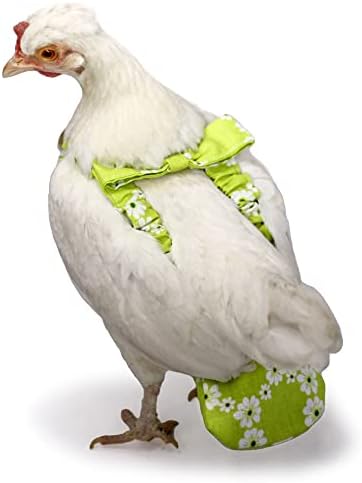 Perive pileće pelene za kokoške ili Pijetlove - moderna pelena za pelene za kućne ljubimce
