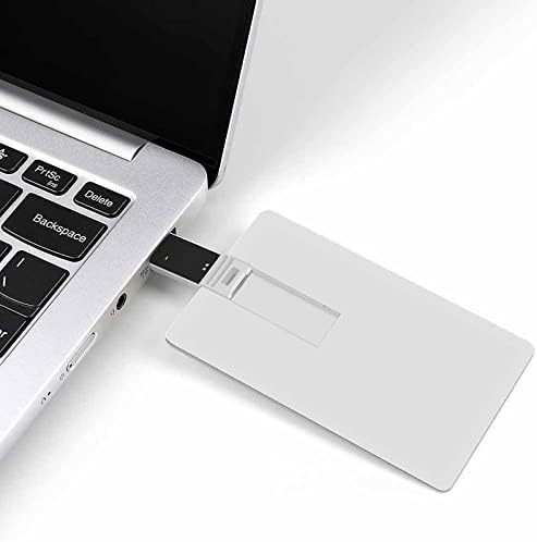 Ružičasta Stripe Stripe USB 2.0 Flash-Drives Memory Stic Credit Cret Card