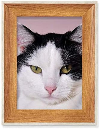 MCJS mačka životinja Pet Tuxedo Billicat Desktop drveni okvir za fotografije prikaz slike Art Painting više