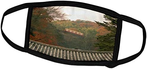 3drose pada boja oko željezničke pruge, Kjoto, Japan-AS15 STE0148 -. - Maske Za Lice
