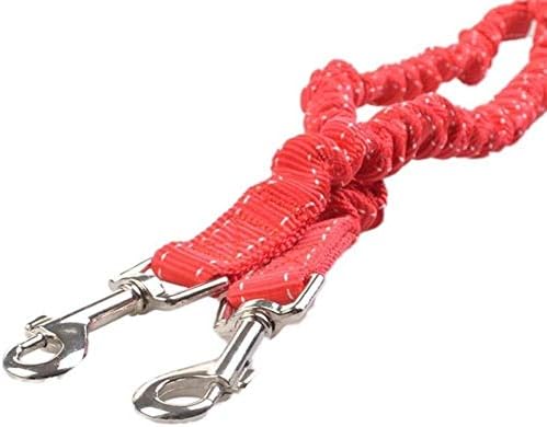 CFSAFAA povodac dvostruki pas povodac elastični bungee kućni ljubimac za hodanje vode za 2 bračne