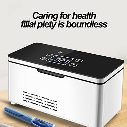 Prijenosni insulinski hladnjak cool cool cool box USB punjiva temperatura hladnjak sa vrećicom i ručka