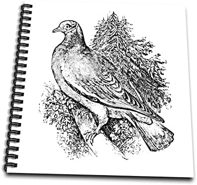 3Droza Vintage Wood golub ART Ilustracija Divlje životinje Životinje za pticu. - Crtanje knjiga