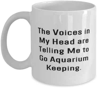 Održavanje akvarijuma za višekratnu upotrebu, glasovi u mojoj glavi mi govore da idem u čuvanje akvarijuma,