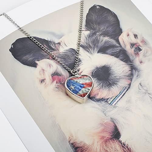 Portorikanska zastava na dolaru novac za kremaciju kućnih ljubimaca nakit za pepeo urna ogrlica Memorijalni nakit privjesak za uspomenu za kućne ljubimce pepeo psa mačke