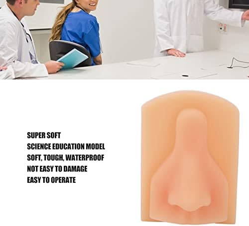 Brrnoo Silikonski model nosa, model nosa lažni model nosa displej Stereoskopska visoka simulacija meki silikon fleksibilni Model nosa za uputstva za nastavu, simulacija Model nosa umjetni ljudski nos