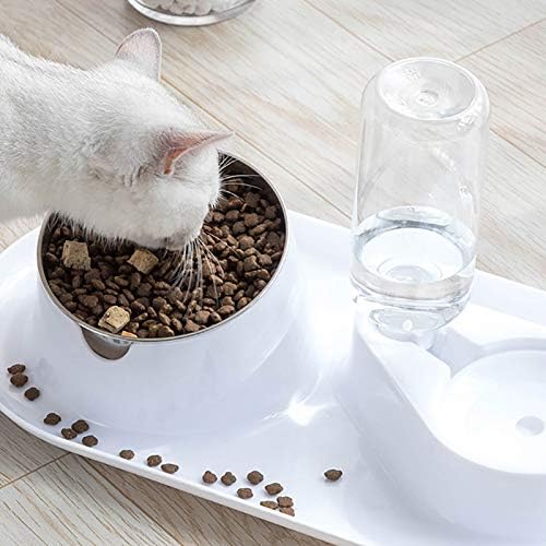 CHUCHEN posuda za kućne ljubimce za mačke automatska hranilica za mačiće dvostruke posude za hranjenje