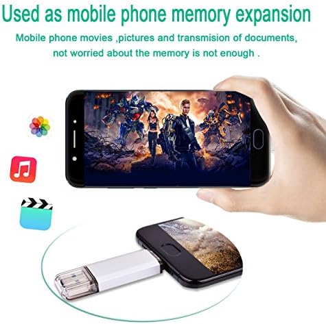 Raoyi 32GB USB C Flash pogon, 2 u 1 USB 3.0 Tip C Dual OTG Metal Thumb Drive Show Drive Memory Stick