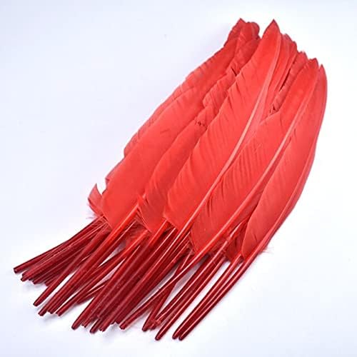 TTNDStore 20pcs Prirodni iskrivljene guske za Plumas 30-35cm DIY obojene perja za nakit za čišćenje domaće