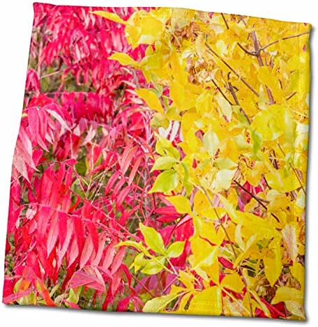 3drose SAD, Ogle County, Illinois, Jesenje boje žute i crvene - ručnike