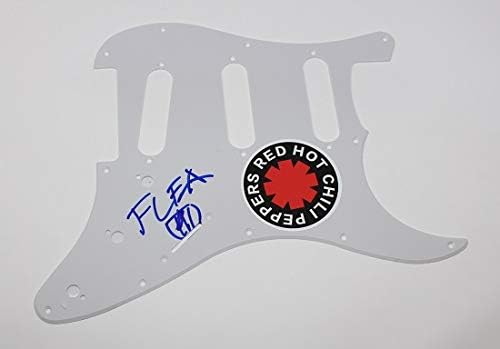 Red Hot Chili Peppers RHCP šećer u krvi seks Magik buva potpisan autogramom Fender Strat gitara Pickguard