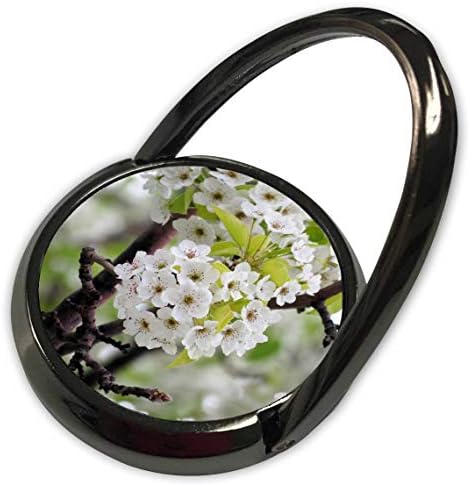 3Droza Jos FauxtograpEe- Tree - cvjeta stablo sa bijelim cvjetovima na zelenom - telefonskim prstenom