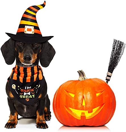 Xuniea 12 komada Halloween Dog Bandanas Halloween PET kostimi šal maglica za maglu Bundeckin Dog