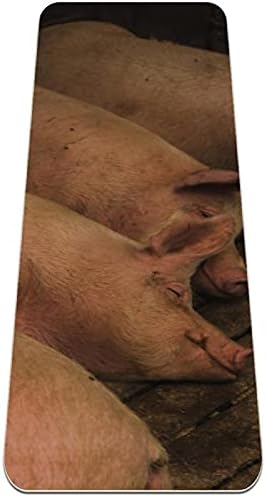 Debele svinje koje leže na FarmYoga Mat dugoj 72x24in 6mm zgušnjavaju fitnes vježbu sa remenom za jogu