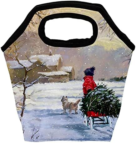Heoeh zimska snežna torba za ručak Cooler Tote Bag izolovana kutija za ručak sa patentnim zatvaračem torba za