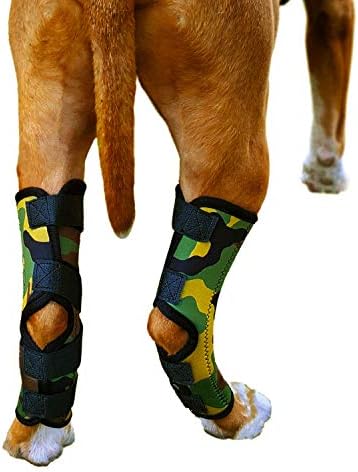 Ljubitelji kućnih ljubimaca Stuff proteze za zadnje noge za pse veličine L - par Hock proteza sa dodatnom
