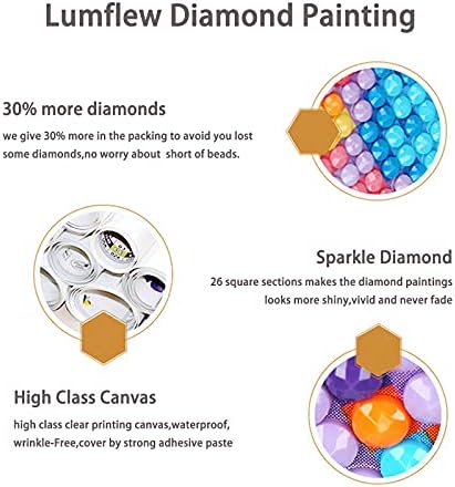 Dijamantni setovi za oslikanje za odrasle, Lumflew DIY 5D točke Diamond Art za kućni zidni dekor, slika