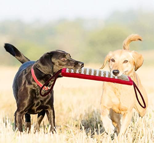Igračka za pse, jaki pas izvlačenja igračka s tvrdim jute, interaktivne igračke za srednje do velikih psi