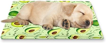 Fusurire Green Avocado Puppy Bed Slipcover Meko kućni ljubimci Poklopac voćne teme Kitten Cooling