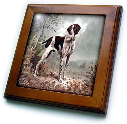 3drose slika crno-bijelog lovačkog psa u prekrasnoj berbi. - Uramljene Pločice