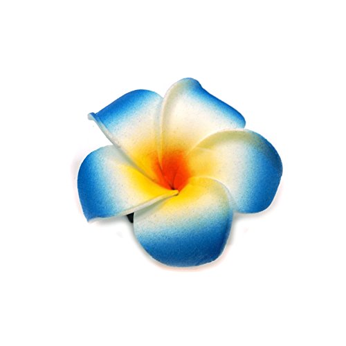 Teri's Butique Hawaiian Hawaii Otok Orkhid Flower Travel Clip Clip Clip Clip Claw Pin