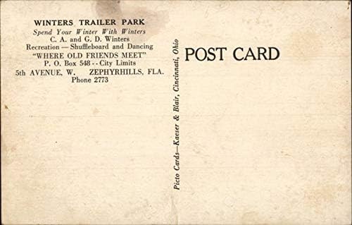 Zimski Trailer Park Zephyrhills, Florida FL originalna Vintage razglednica
