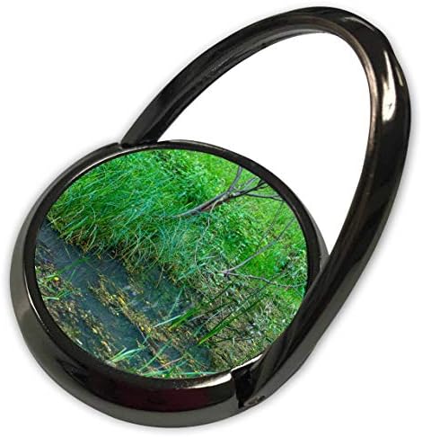 3Droza Alexis fotografija - Voda prirode - trava, patka u ribnjaku. Malo drvo i zelena trava