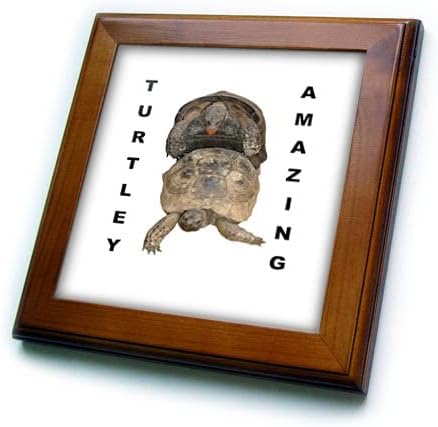 3drose Turtley nevjerovatne kornjače za parenje vektor izrezane-uokvirene pločice