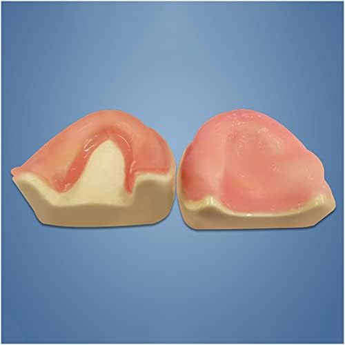 KH66Zky Dental implantat Model - Potpuna usta Edentelous Dental JAW model - za obrazovanje, Komunikacija