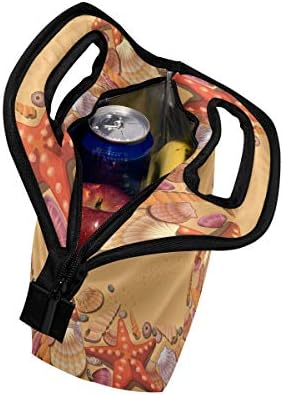 HEOEH Starfish Conch Shell Sea Beach torba za ručak Cooler Tote Bag izolovana kutija za ručak sa patentnim zatvaračem torba za školski ured na otvorenom