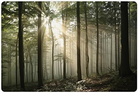 Lunarable šumski Kućni ljubimci za hranu i vodu, Izlazak sunca u ranu jesen listopadna šuma divlje