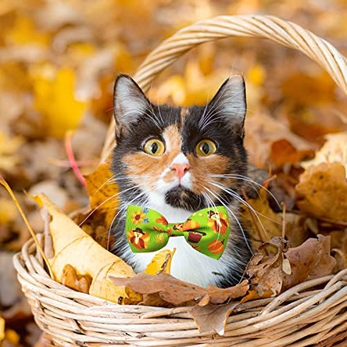Dan zahvalnosti Cat Collar, jesen jesen odmor Turska bundeva Kitty Kitten mačka ovratnik za mačke
