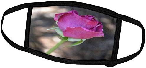 3drose Patricia Sanders Flowers-ljepota ružičaste ruže II - navlake za lice