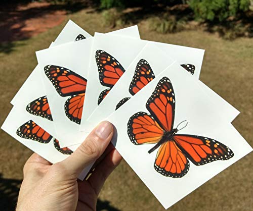 6 velikih leptira monarha privremene tetovaže leptir utopija