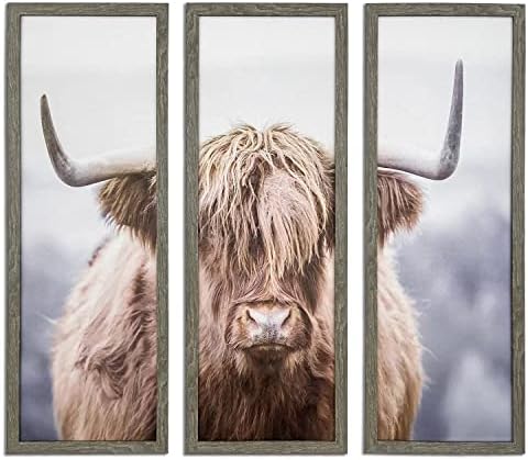 Wild Scottish Highland Cattle canvas Wall Art Bull sa rogom i dugom kosom uokvirenim životinjskim