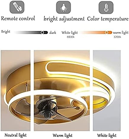 Dlsixyi stropni ventilatori rasvjeta daljinski upravljač 48W LED nordijski modernim prsteni