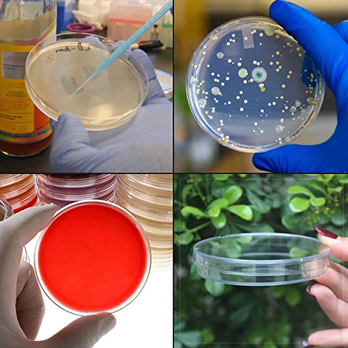 50 pakovanja plastičnih Petrijevih posuda sa poklopcem, 90 mm prečnika x 15 mm duboke sterilne Petrijeve ploče sa 100 pakovanja 3 ml plastičnih pipeta za prenos, Set Petrijeve posude za laboratorijske, eksperimentalne, biološke, mikrobiološke studije