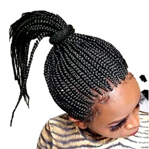 AEIOFU Afro pletenice perike sa strane Razdjeljak Twist heklanje kose prirodne pletenice ljudska kosa