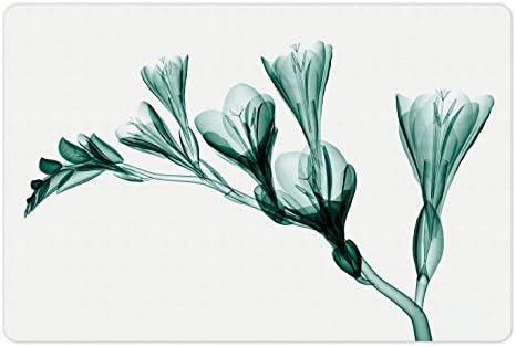 Lunarable Flower pet prostirka za hranu i vodu, rendgenska slika cvijeta na jednostavnoj pozadini ilustracijski
