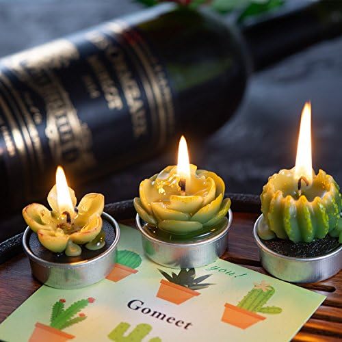 Amasy ručno rađene nježne sočne kaktusne svijeće za rođendanski zabava za vjenčanje banje kuće ukras
