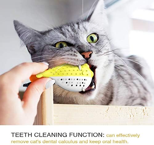 CAT četkica za zube Catnip Chew, mačka zubnu njegu Trljanje licem sa ugrađenim zvonicima za brušenje zubi Ukloni