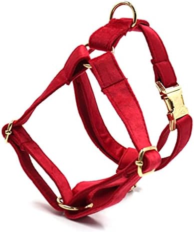Gretd Crveni baršunasti pas personalizirani 5kom / set za kućne ljubimce Bowtie ovratnik povodac